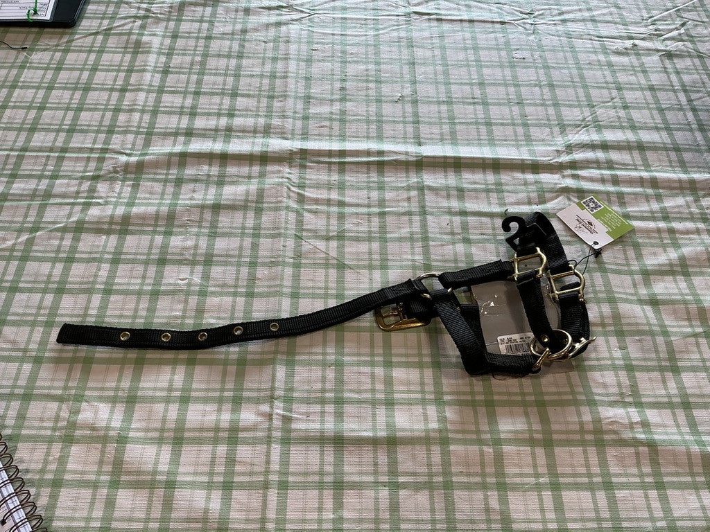 Nylon Halter Black Mini / yearling 