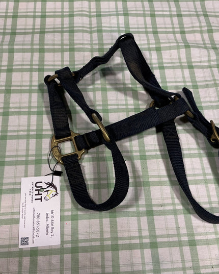 halter nylon black weanling/yearling 
