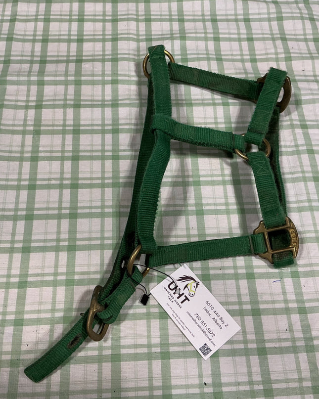 halter nylon green weanling 