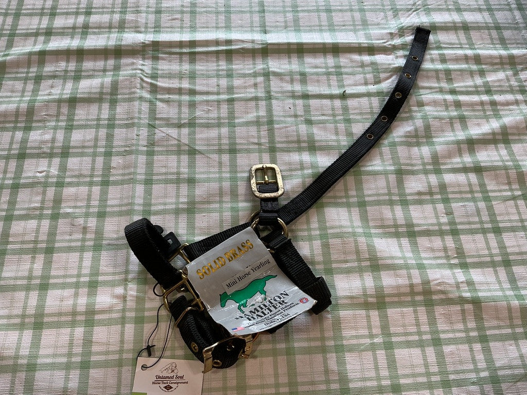 Nylon Halter Black Mini / yearling 