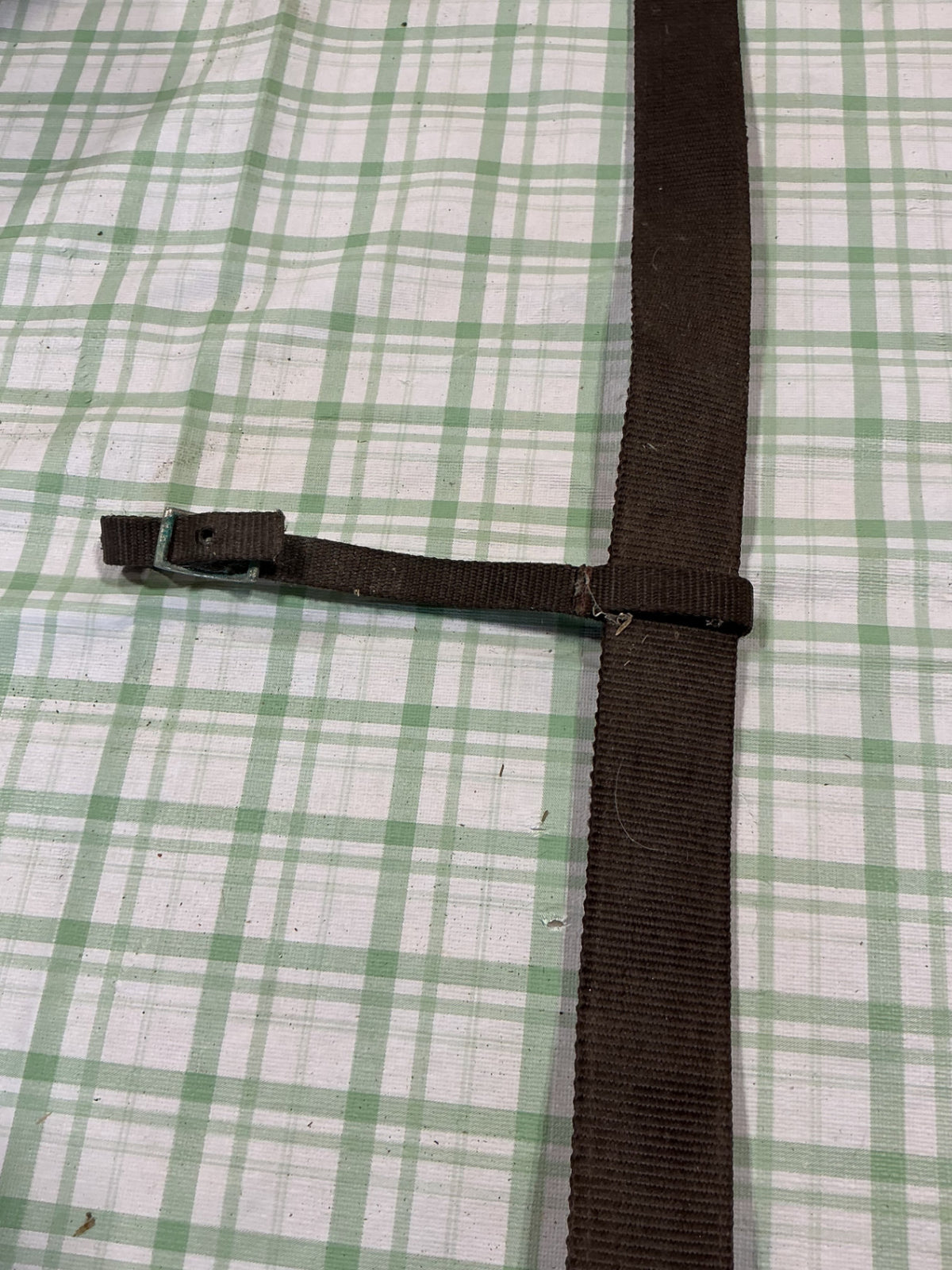 back cinch leather with extra strap 