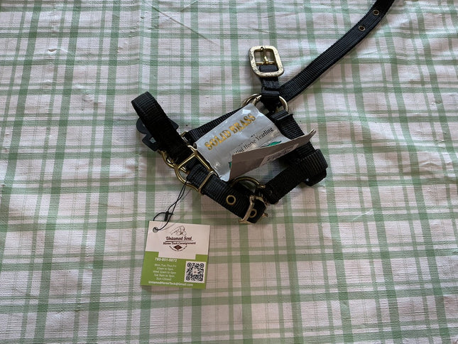 Nylon Halter Black Mini / yearling 
