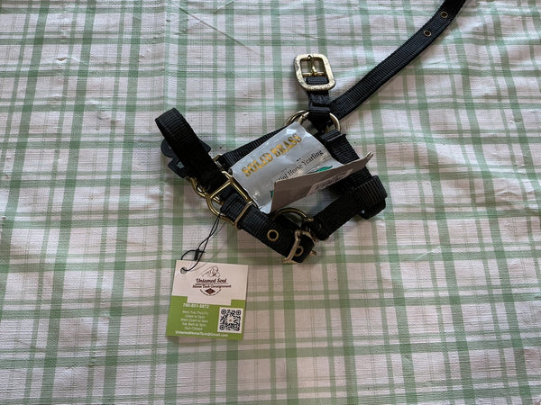 Halter – Nylon, Black, Mini/Yearling | New with Tags