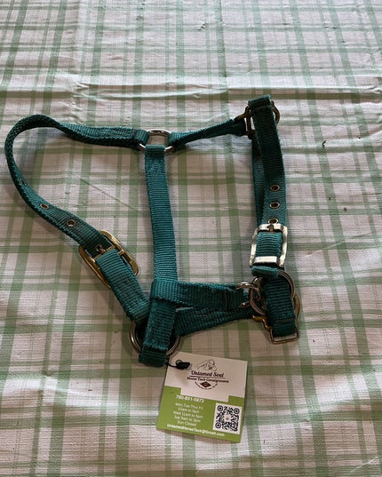 Halter Nylon Green Yearling 