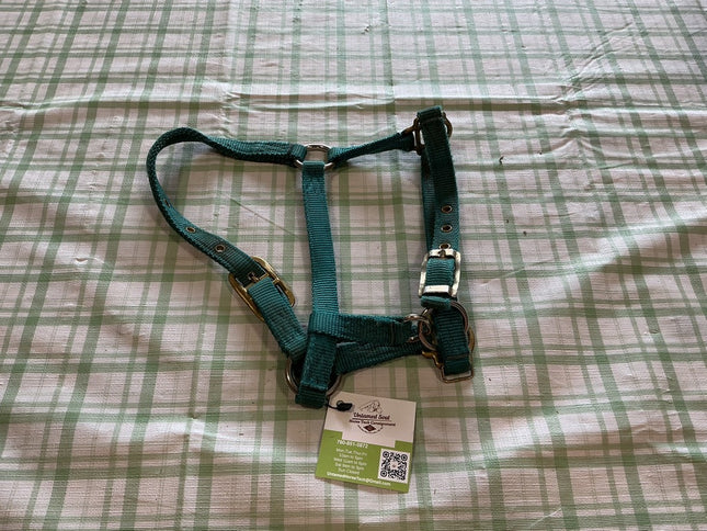 Halter Nylon Green Yearling 