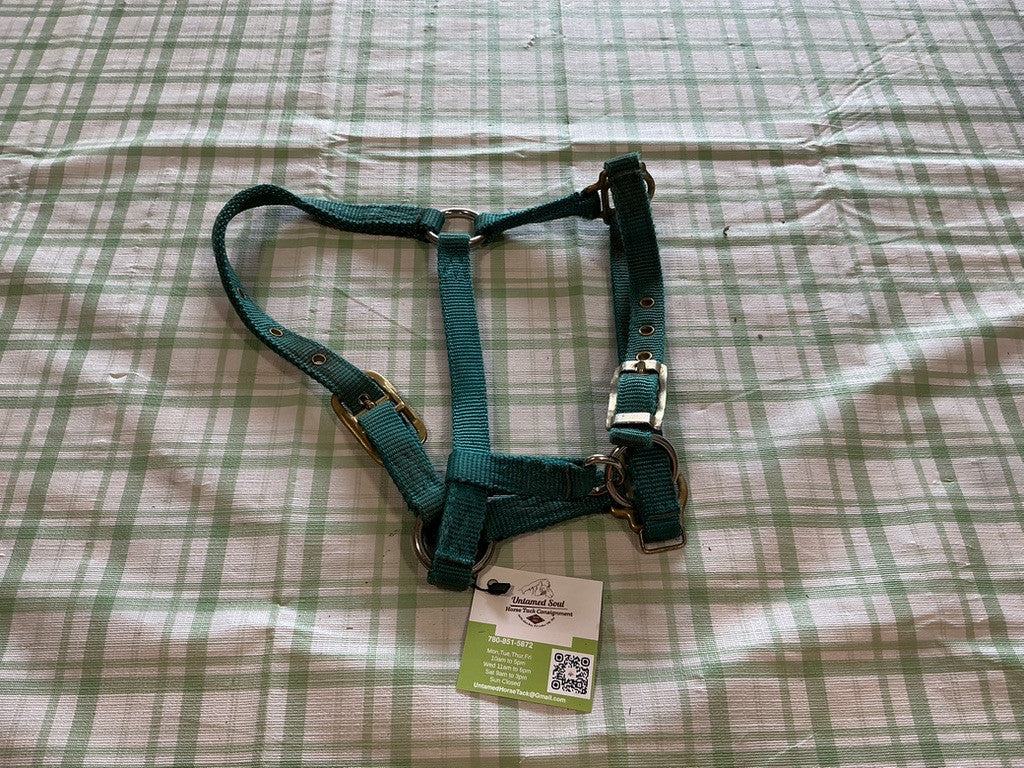 Halter Nylon Green Yearling 