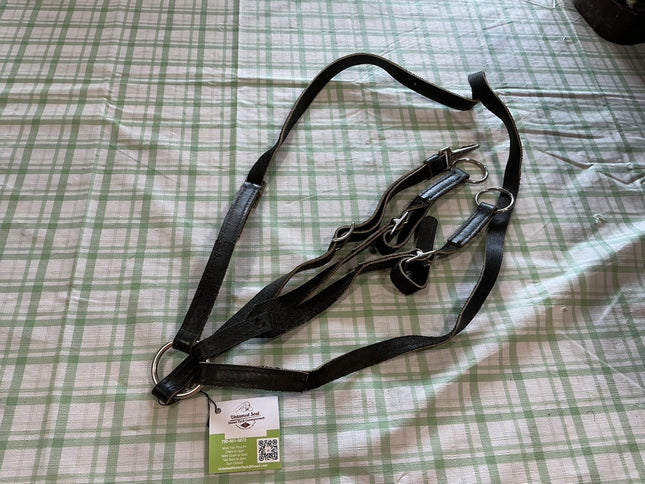 English Martingale 