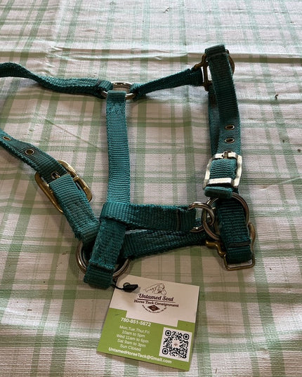 Halter Nylon Green Yearling 