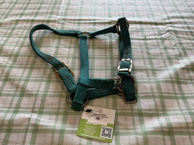 Halter Nylon Green Yearling 