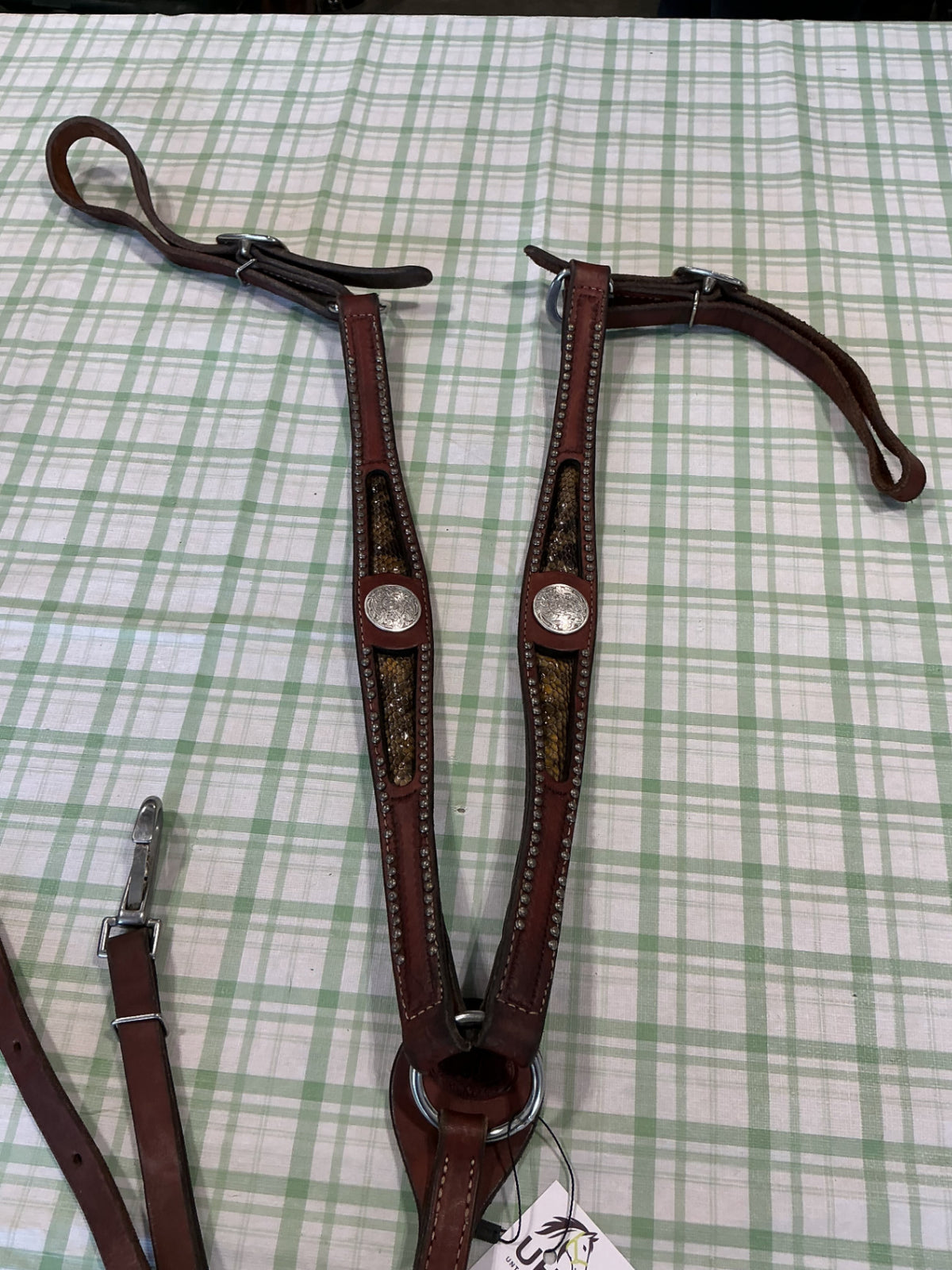 Western Breastcollar with snake design on breast plate