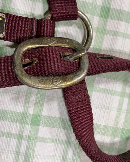 halter nylon weanling 