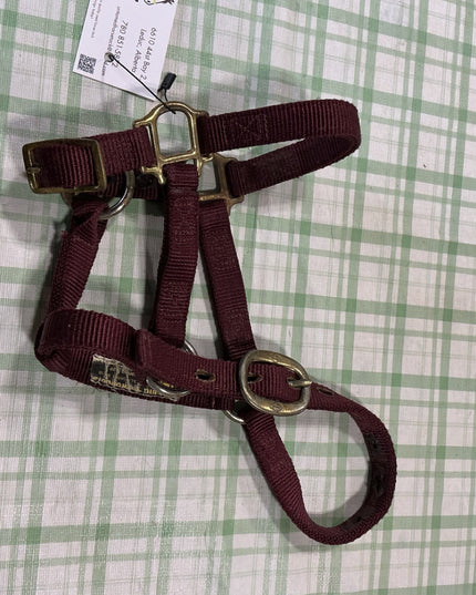 halter nylon weanling 