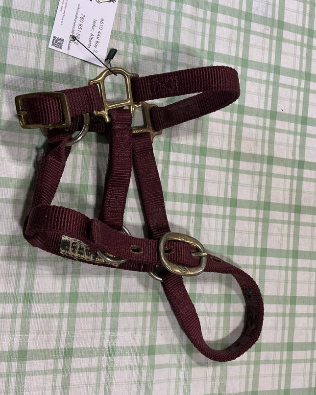 halter nylon weanling 