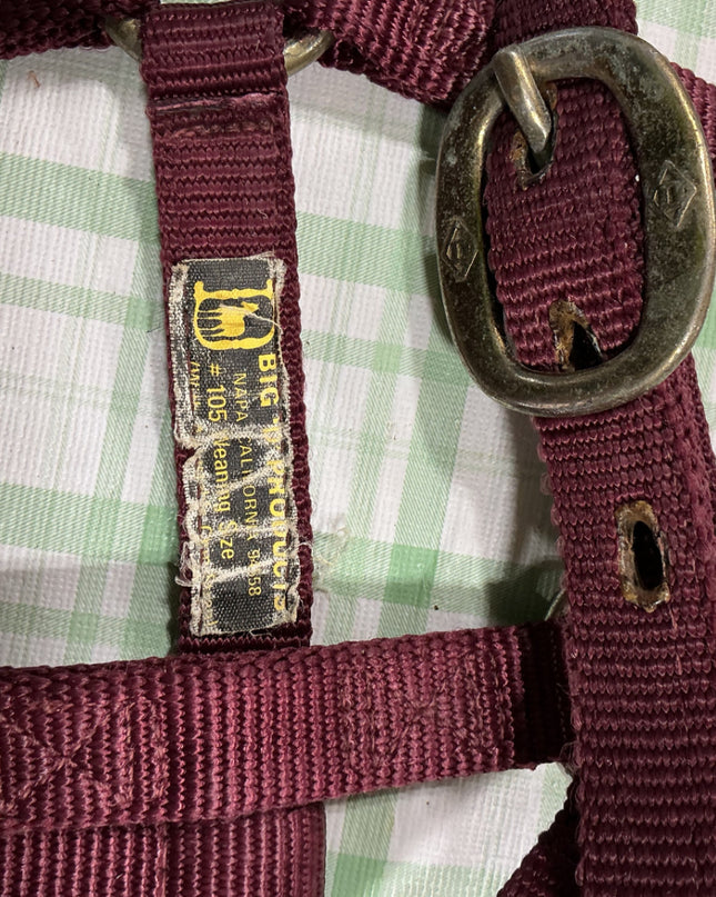 halter nylon weanling 