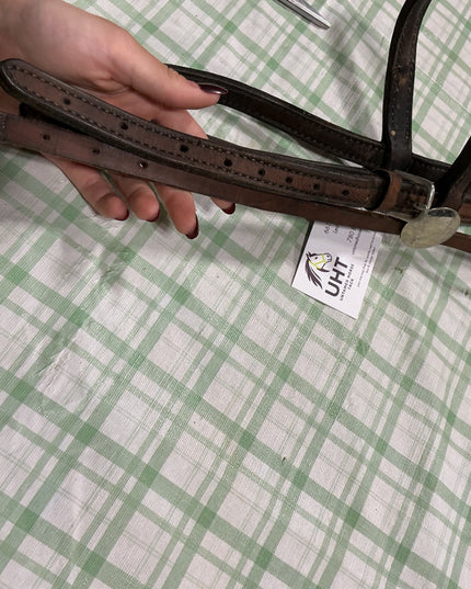western leather bridle 