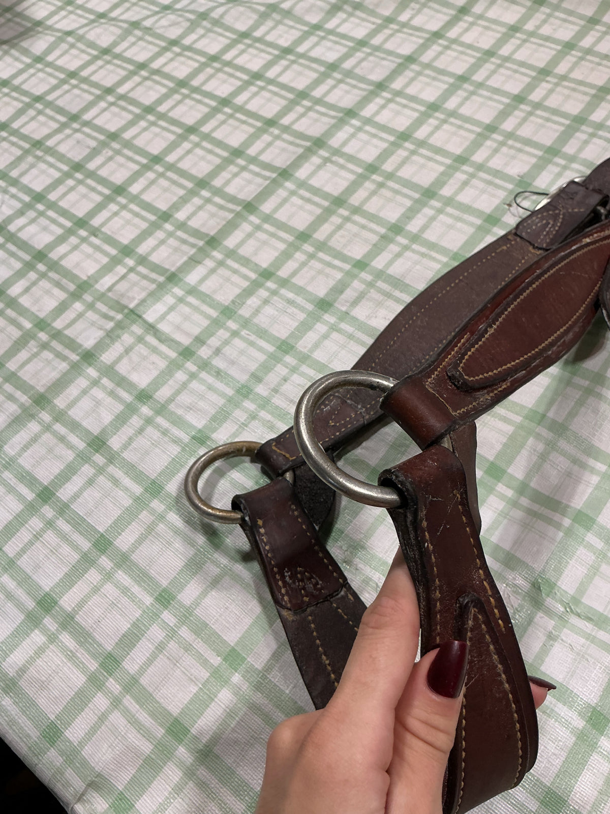 cow/ llive stock halter leather