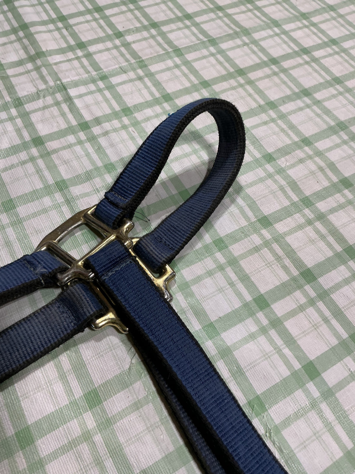 halter nylon blue