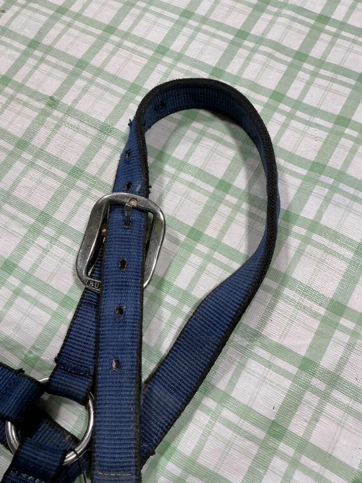 halter nylon blue