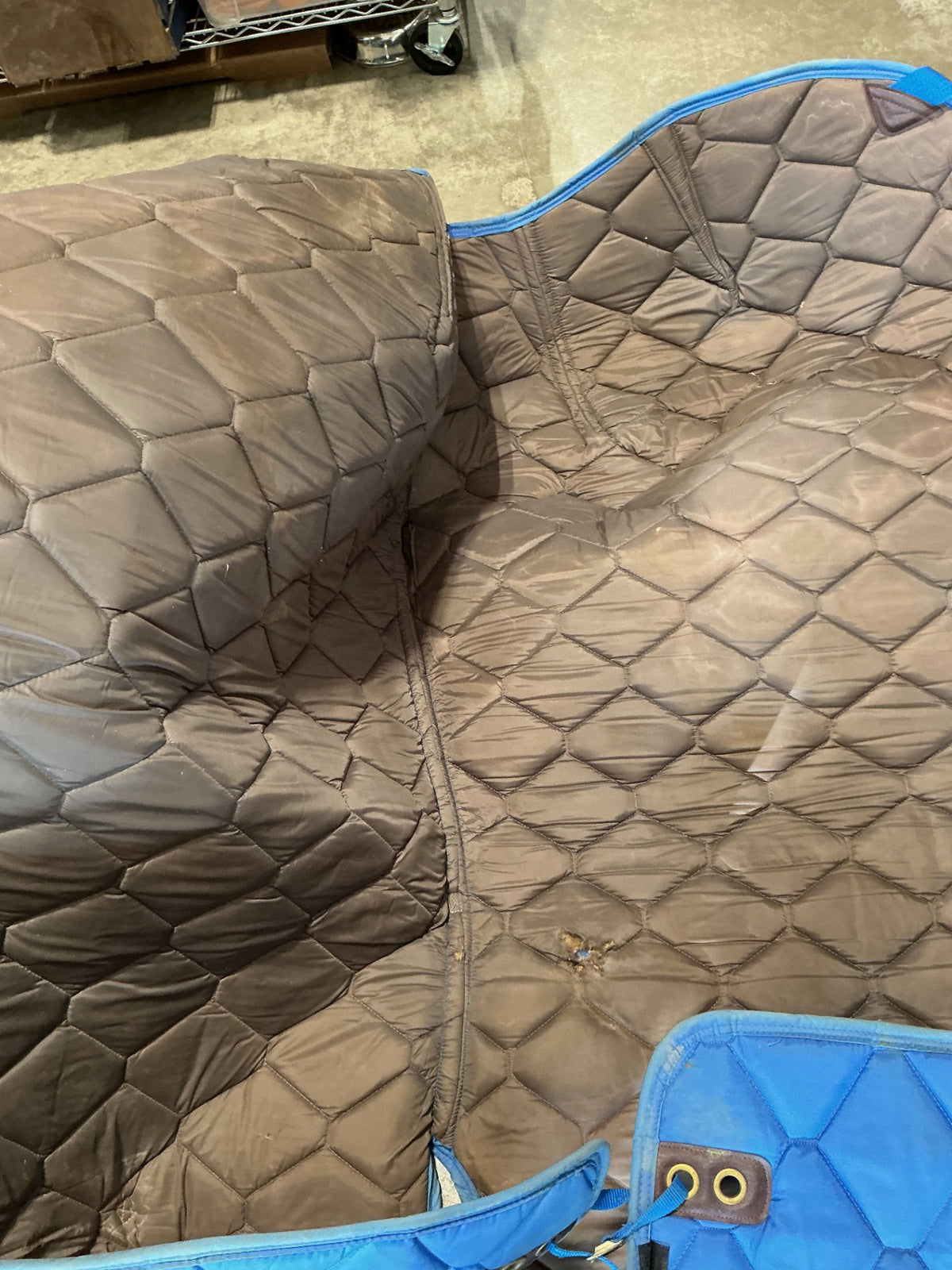Liner Winter 80" blue *hole*