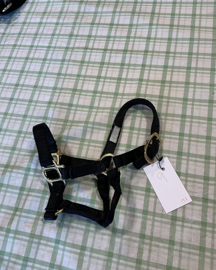 halter nylon black suckling size 