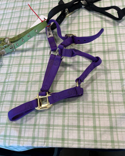 halter nylon three pairs yearling to pony size 