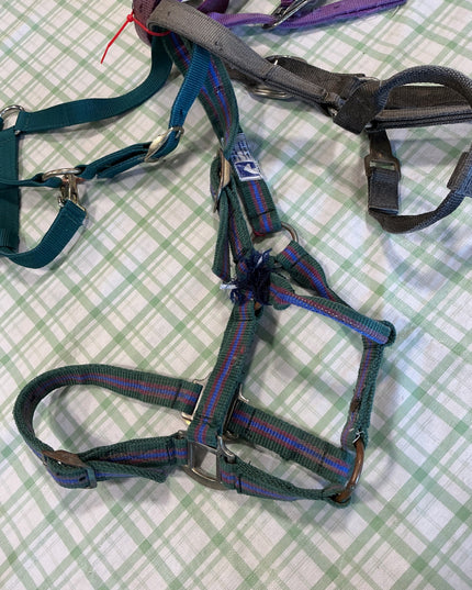 bundle of nylon halters horse size fit 