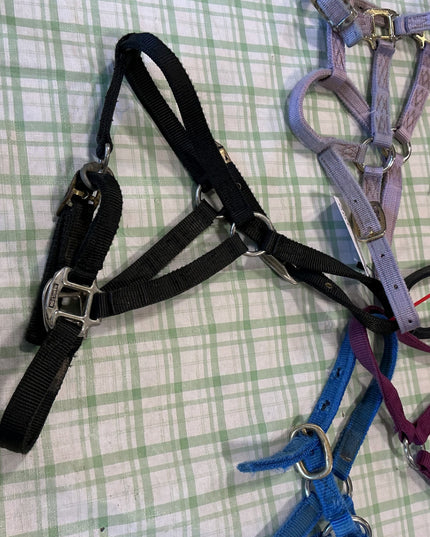 halter nylon five pairs yearling size 
