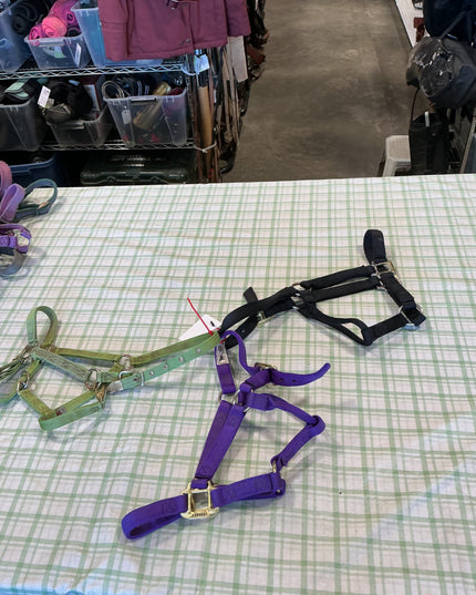 halter nylon three pairs yearling to pony size 