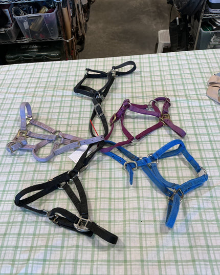 halter nylon five pairs yearling size 