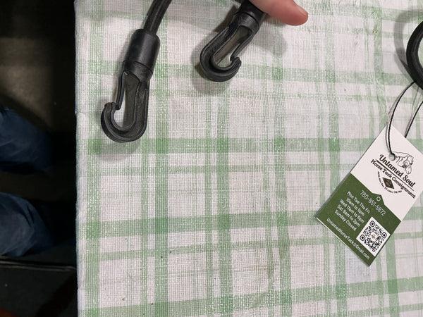 Lunging Equipment – Black | Used, Good