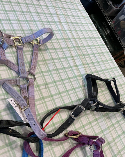 halter nylon five pairs yearling size 