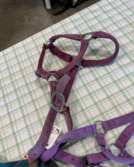 bundle of nylon halters horse size fit 