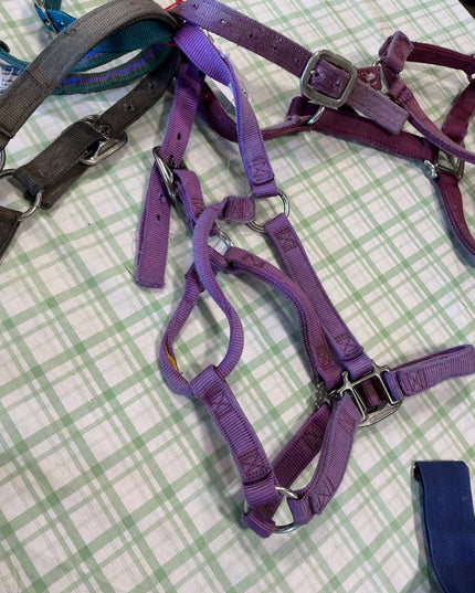 bundle of nylon halters horse size fit 