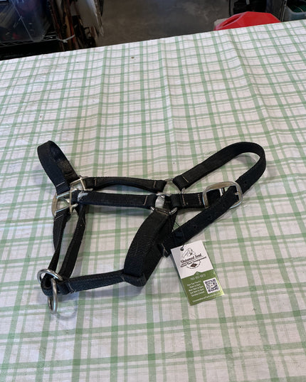 halter nylon black small horse size 