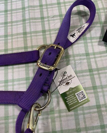 halter nylon purple small horse 
