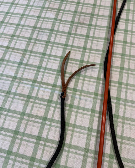 lunging whip long extention rope attached 