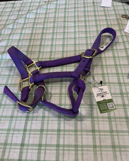 halter nylon purple small horse 