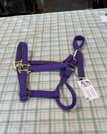 halter nylon purple horse size weaver 