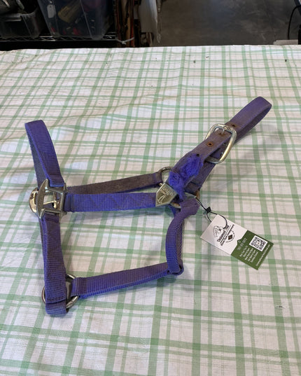 halter nylon purple 