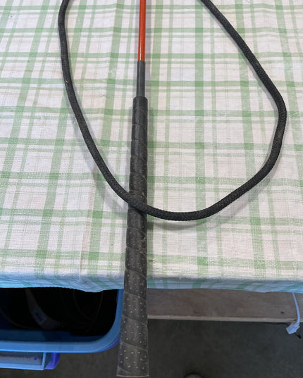 lunging whip long extention rope attached 