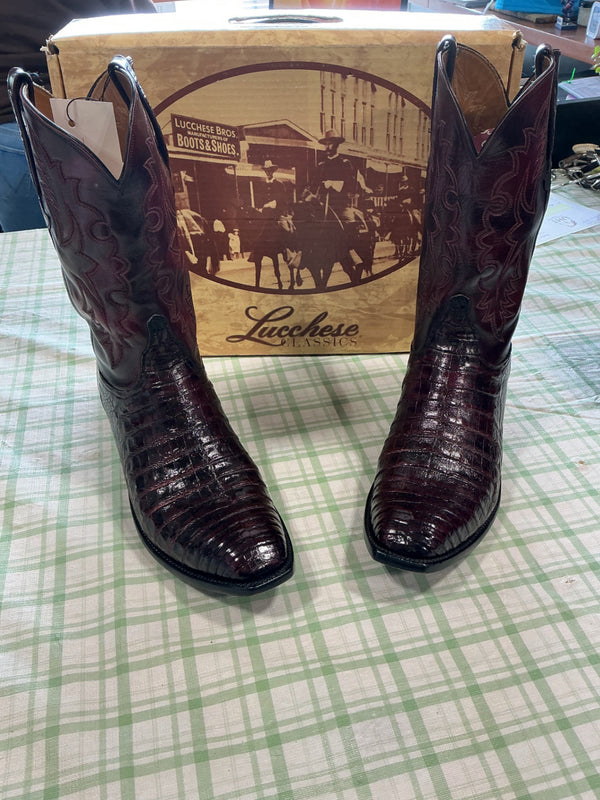 Cowboy Boots – Lucchese Classics, Belly Caiman, 13EE | Used, Very Good