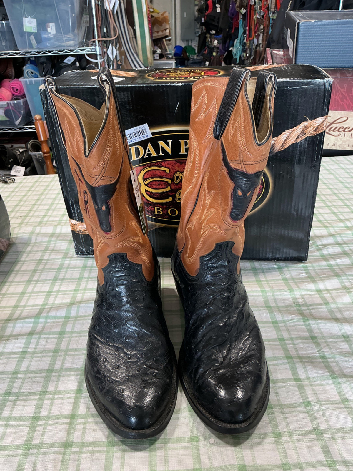 cowboy boots dan post 13"