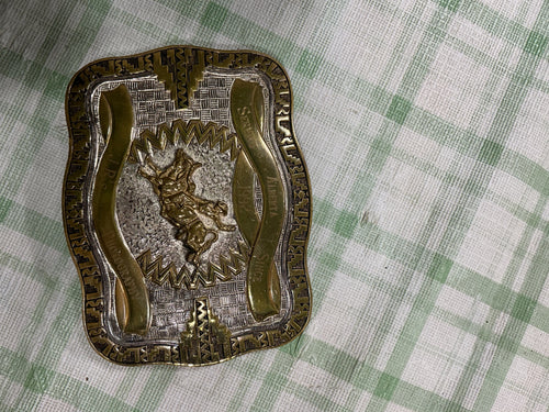 belt buckle