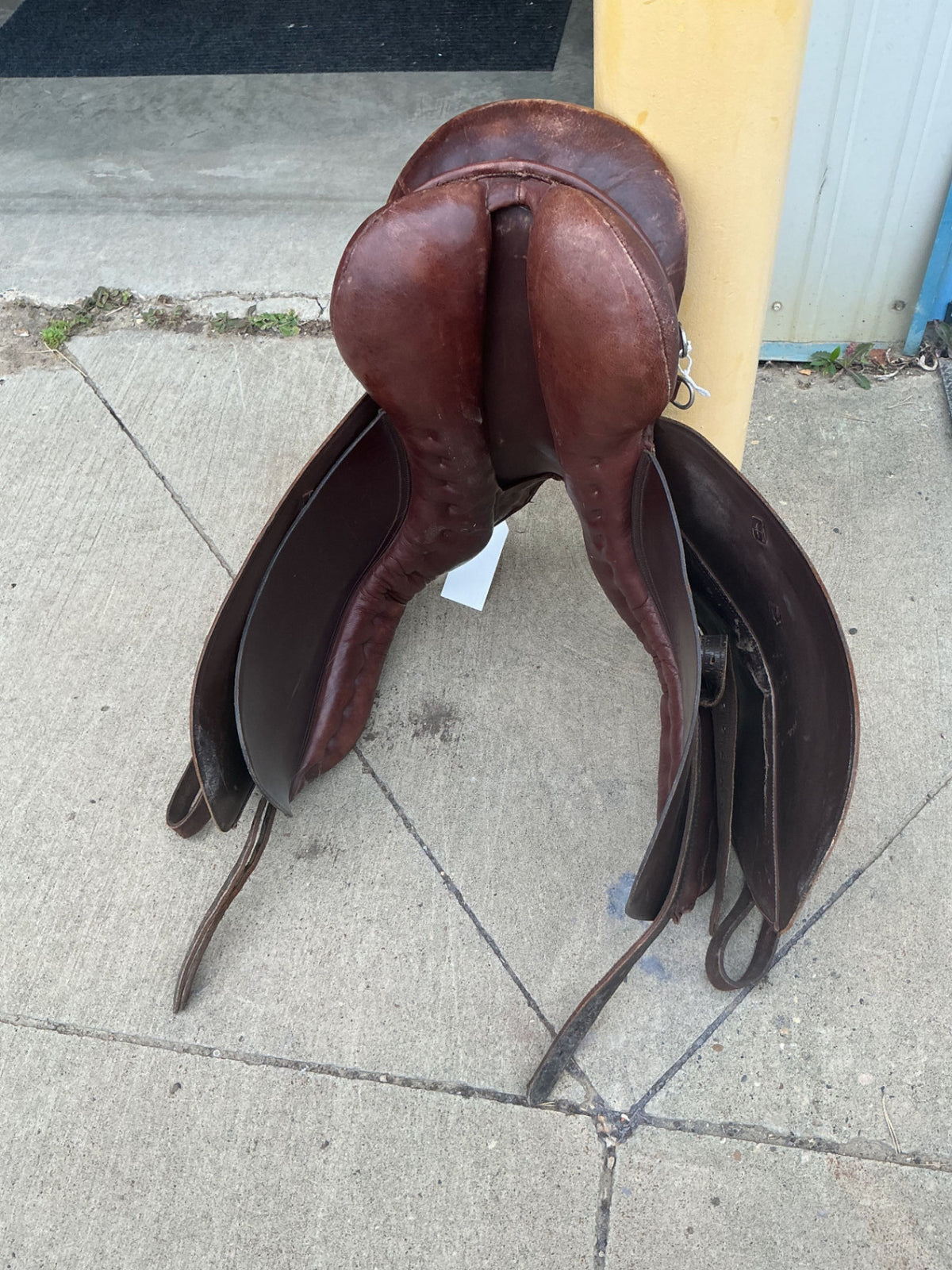 English Saddle S18.5" G6"