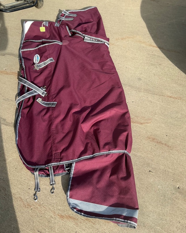 Winter Blanket WeatherBeeta Burgundy 69"