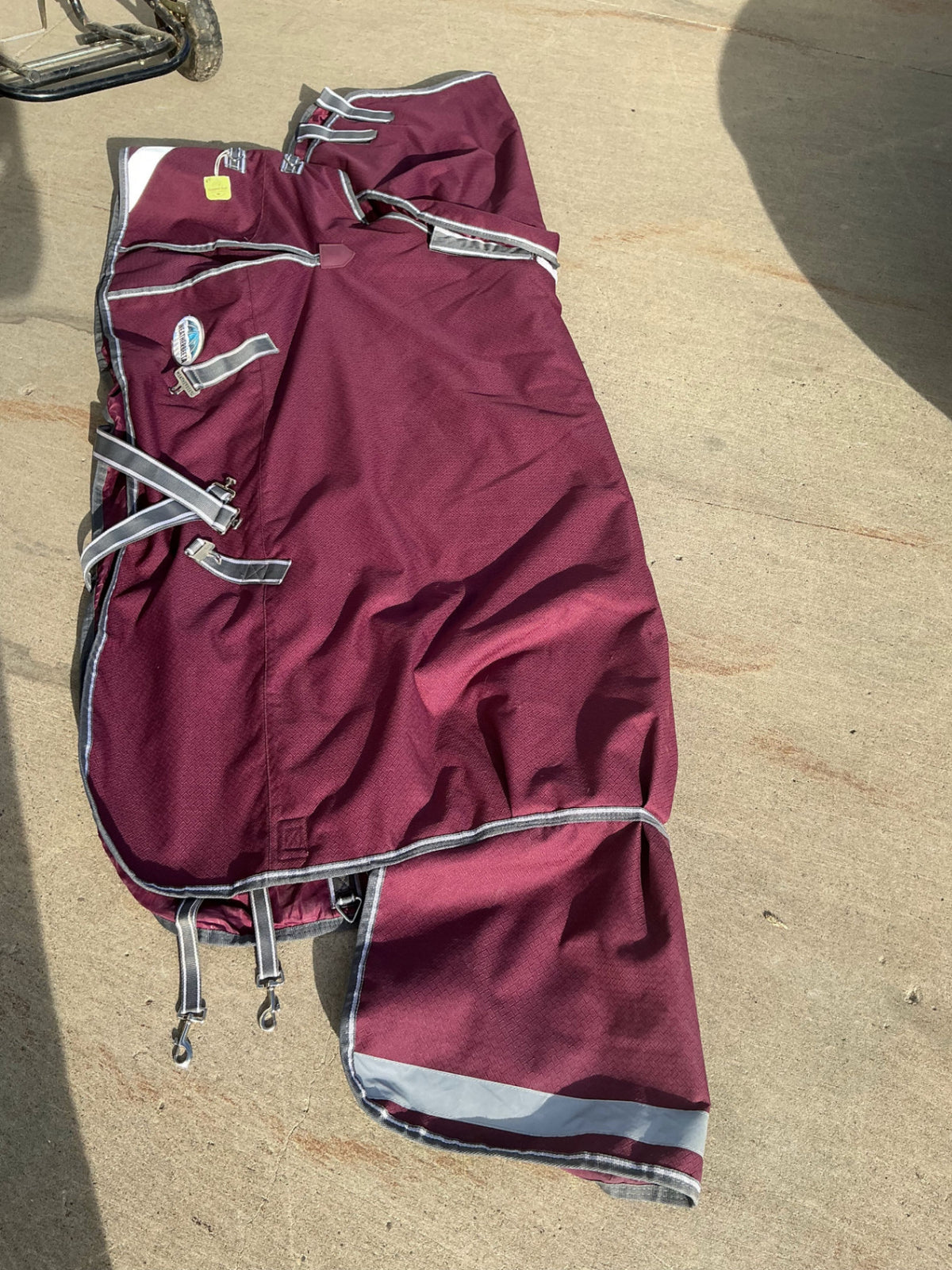 Winter Blanket WeatherBeeta Burgundy 69"
