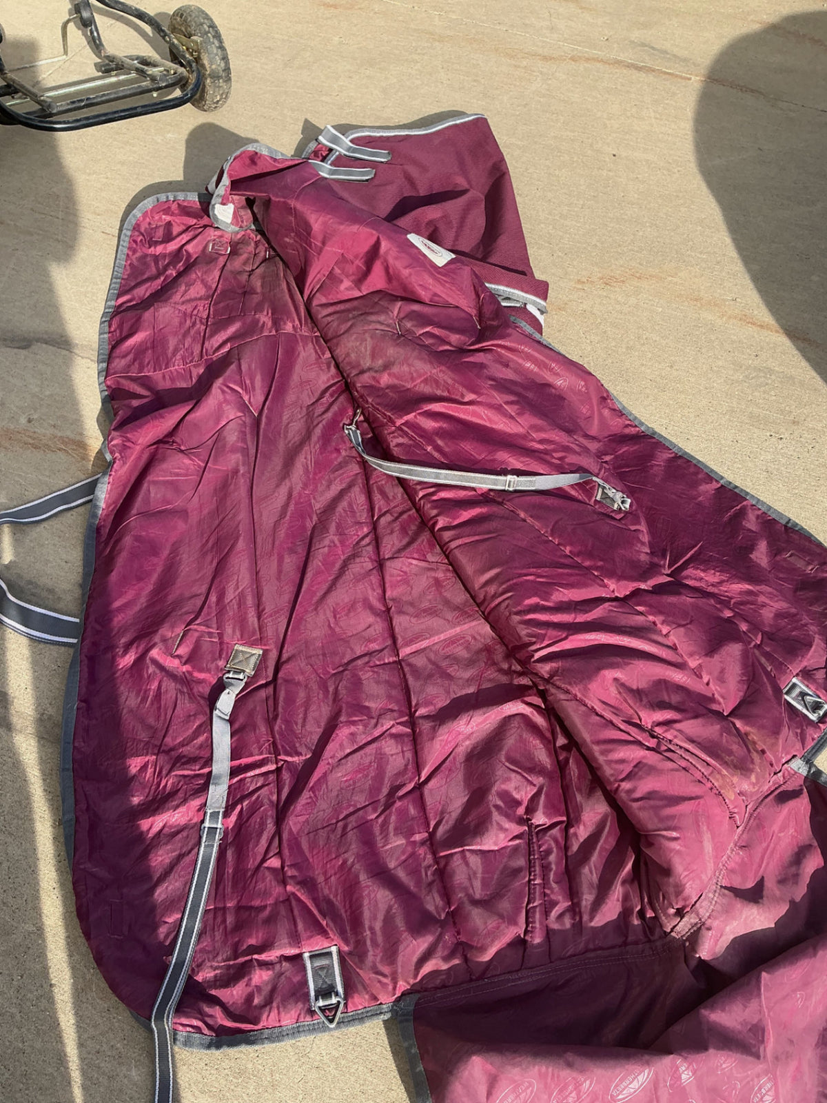Winter Blanket WeatherBeeta Burgundy 69"