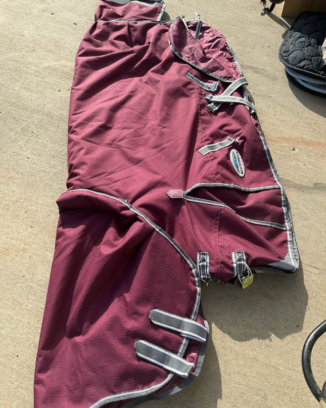 Winter Blanket WeatherBeeta Burgundy 69"