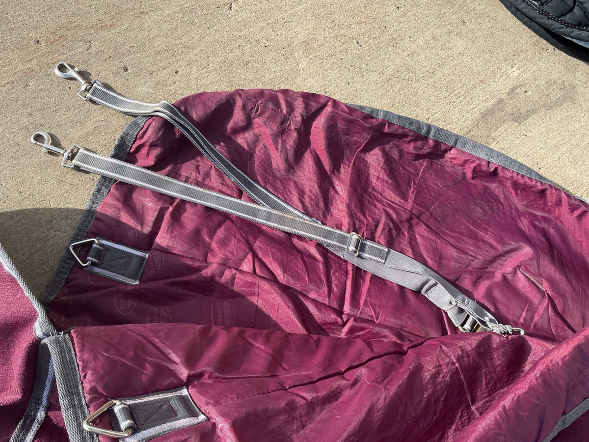 Winter Blanket WeatherBeeta Burgundy 69"