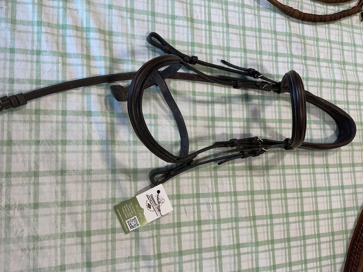 English Bridle Brown Horse